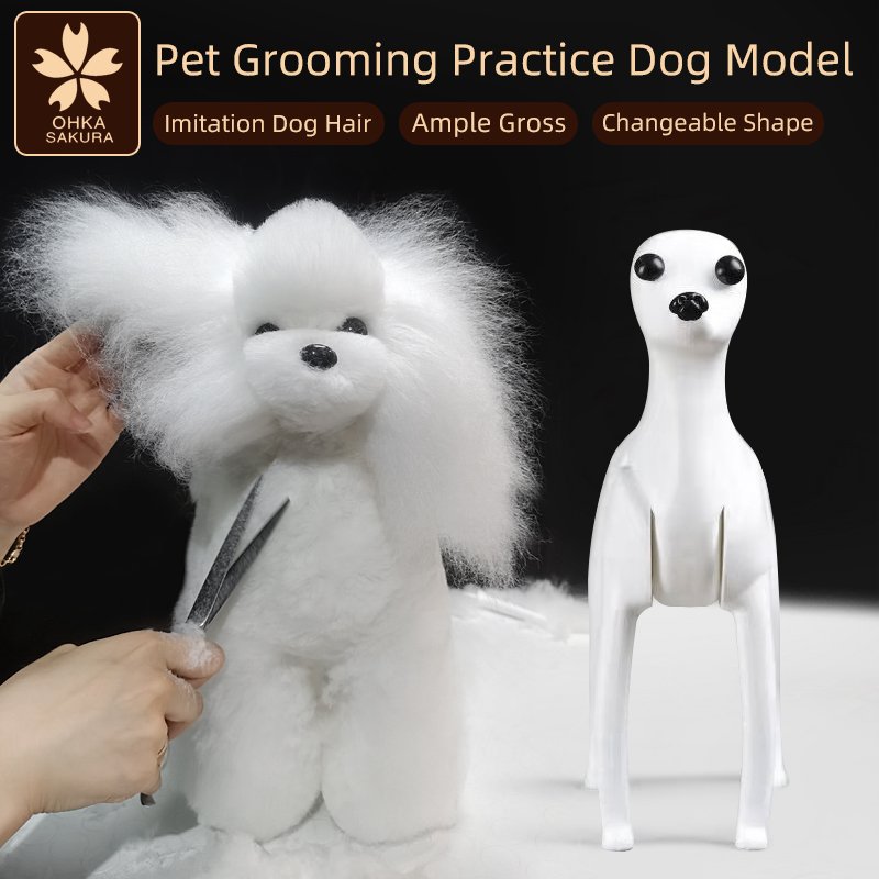 Professional-pet-grooming-fake-dog-model-practice-dog-standard-skeleton-model-dog-pet-simulator-model.jpg