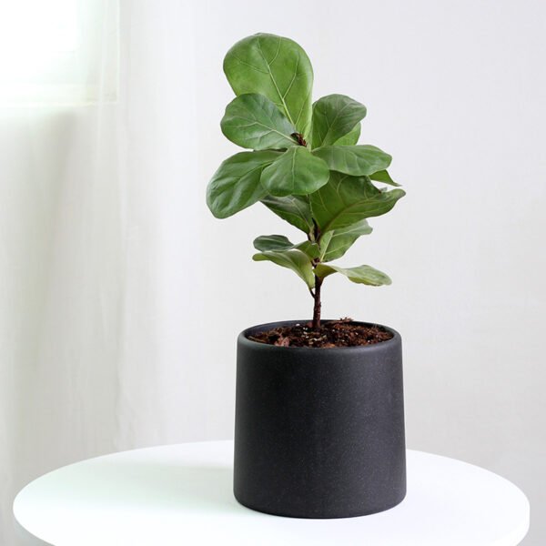 Simple Round Cement Flower Pot Creative and Personalized Potted Plants Excellent Texture Home Gardening Decoration